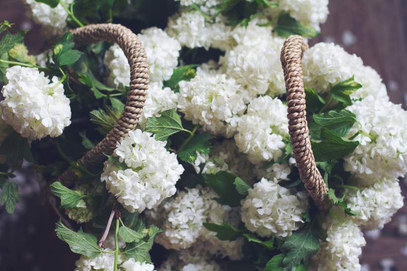 top view of white flowers in a wicker bag